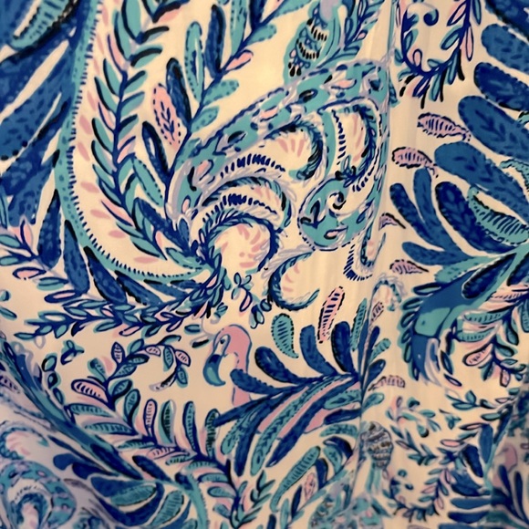 Gently used Lilly Pulitzer Rori Top in "Bird is the Word" pattern. Size L - Picture 5 of 7